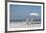 Beach Day-Zhen-Huan Lu-Framed Art Print