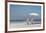 Beach Day-Zhen-Huan Lu-Framed Art Print