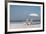 Beach Day-Zhen-Huan Lu-Framed Art Print