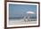 Beach Day-Zhen-Huan Lu-Framed Art Print