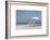 Beach Day-Zhen-Huan Lu-Framed Art Print