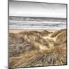 Beach Dunes-Assaf Frank-Mounted Giclee Print