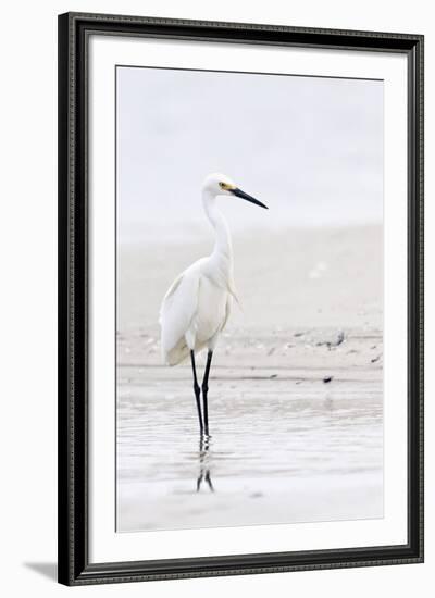 Beach Egret-Wink Gaines-Framed Giclee Print