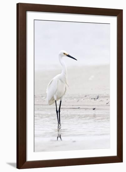 Beach Egret-Wink Gaines-Framed Giclee Print