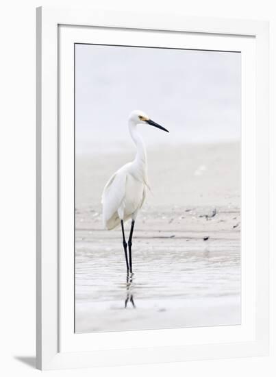 Beach Egret-Wink Gaines-Framed Giclee Print