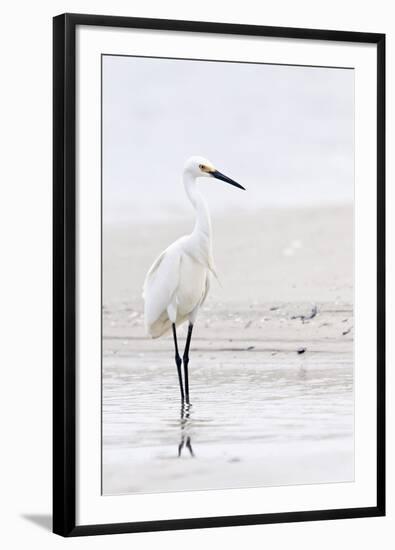 Beach Egret-Wink Gaines-Framed Giclee Print