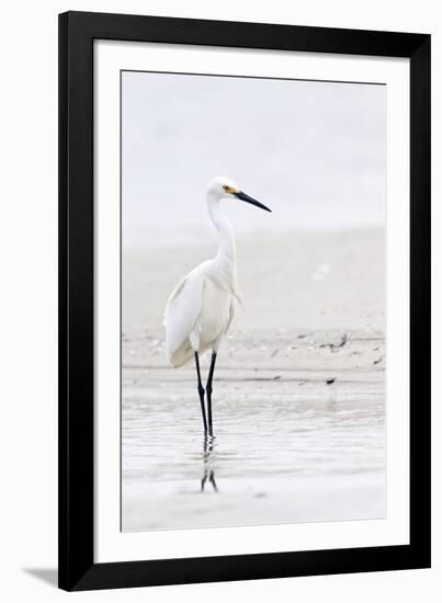 Beach Egret-Wink Gaines-Framed Giclee Print