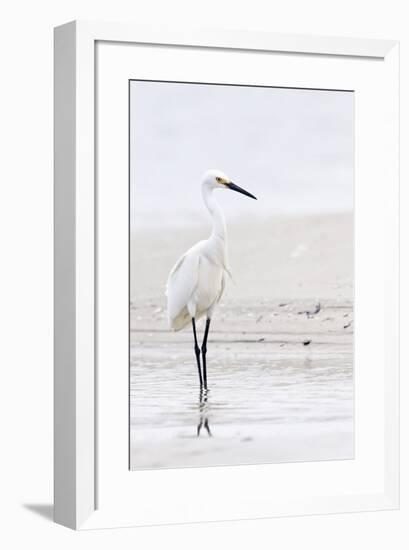 Beach Egret-Wink Gaines-Framed Giclee Print