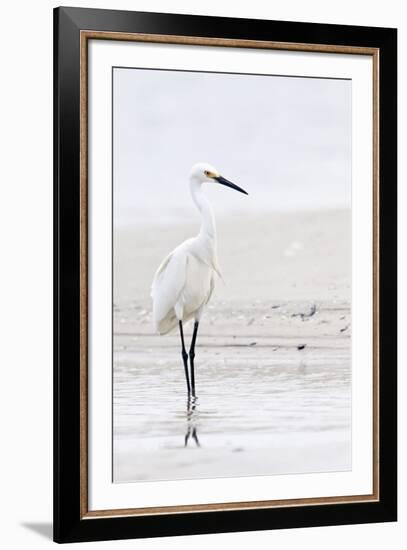 Beach Egret-Wink Gaines-Framed Giclee Print