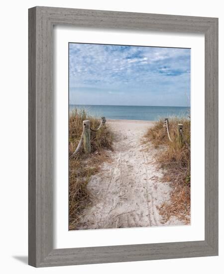 Beach Entry Path with Posts-Mary Lou Johnson-Framed Photo