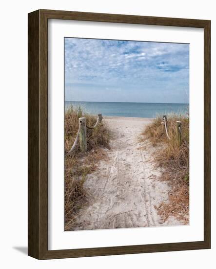 Beach Entry Path with Posts-Mary Lou Johnson-Framed Photo