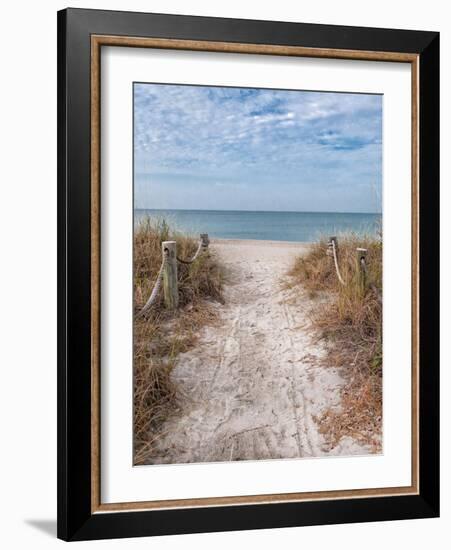 Beach Entry Path with Posts-Mary Lou Johnson-Framed Photo