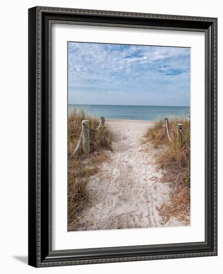 Beach Entry Path with Posts-Mary Lou Johnson-Framed Photo