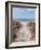 Beach Entry Path with Posts-Mary Lou Johnson-Framed Photo