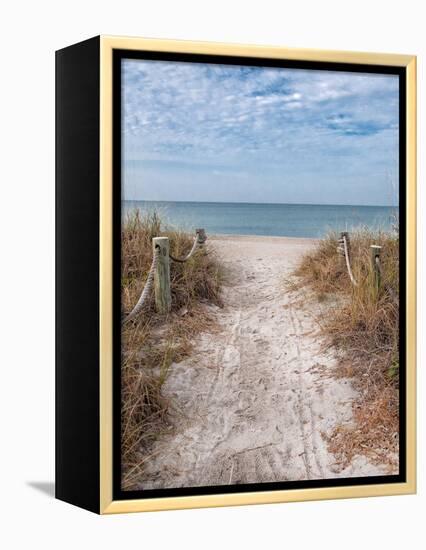 Beach Entry Path with Posts-Mary Lou Johnson-Framed Stretched Canvas