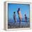 Beach Fashions-Gordon Parks-Framed Premier Image Canvas