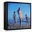 Beach Fashions-Gordon Parks-Framed Premier Image Canvas