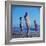 Beach Fashions-Gordon Parks-Framed Photographic Print