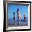 Beach Fashions-Gordon Parks-Framed Photographic Print