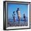 Beach Fashions-Gordon Parks-Framed Photographic Print