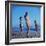 Beach Fashions-Gordon Parks-Framed Photographic Print