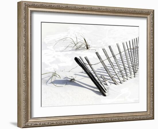 Beach Fence I-Karen Williams-Framed Giclee Print