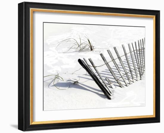 Beach Fence I-Karen Williams-Framed Giclee Print