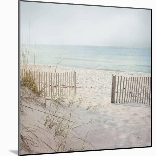 Beach Fence-Pela Studio-Mounted Photographic Print