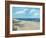 Beach Fences-Ruane Manning-Framed Art Print