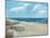 Beach Fences-Ruane Manning-Mounted Art Print