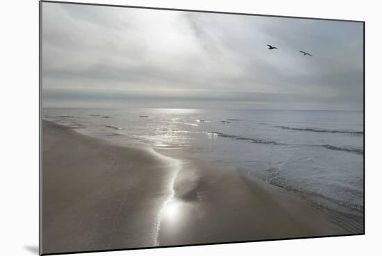 Beach Flight-Monte Nagler-Mounted Giclee Print