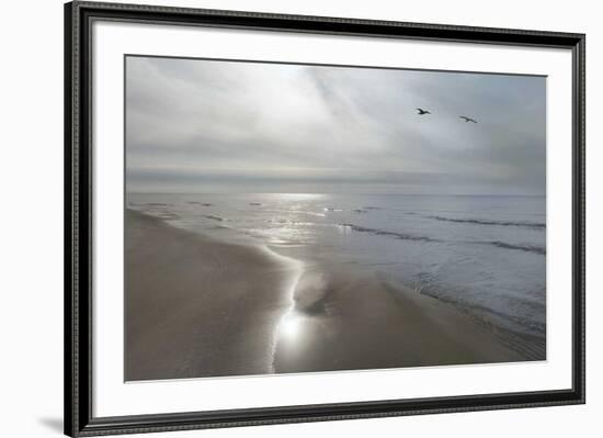 Beach Flight-Monte Nagler-Framed Art Print