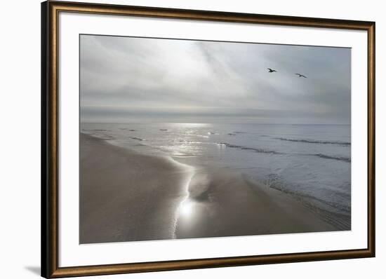 Beach Flight-Monte Nagler-Framed Art Print