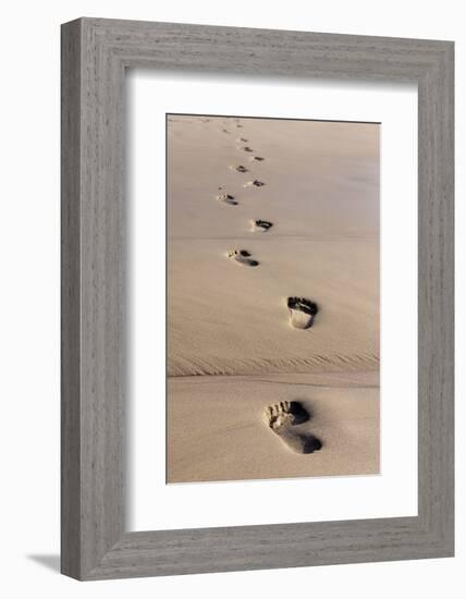 Beach, Footprints in the Sand-Catharina Lux-Framed Photographic Print