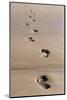 Beach, Footprints in the Sand-Catharina Lux-Mounted Photographic Print