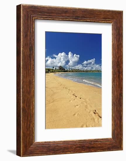 Beach Footprints, Loisa, Puerto Rico-George Oze-Framed Photographic Print