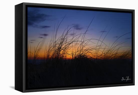 Beach Grass Colors-5fishcreative-Framed Premier Image Canvas