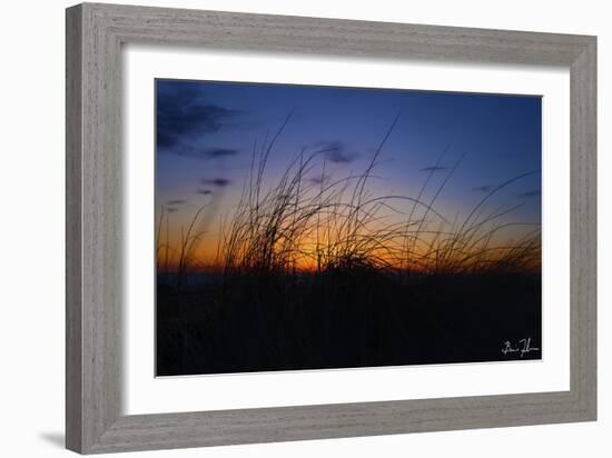 Beach Grass Colors-5fishcreative-Framed Giclee Print