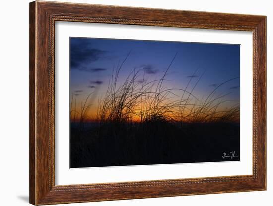 Beach Grass Colors-5fishcreative-Framed Giclee Print