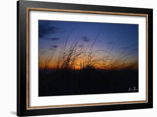 Beach Grass Colors-5fishcreative-Framed Giclee Print