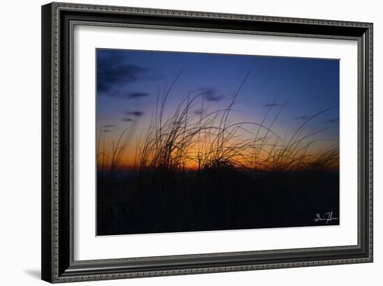 Beach Grass Colors-5fishcreative-Framed Giclee Print