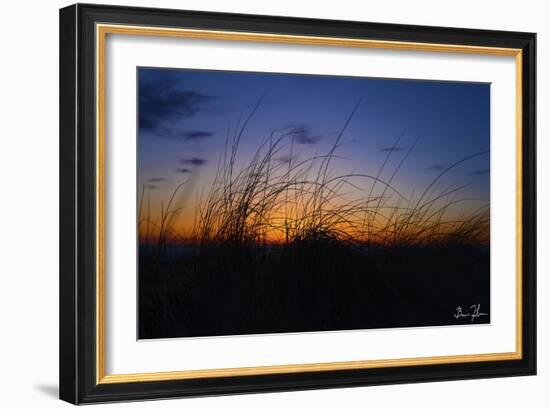 Beach Grass Colors-5fishcreative-Framed Giclee Print
