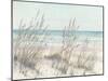 Beach Grass I-Tim OToole-Mounted Art Print