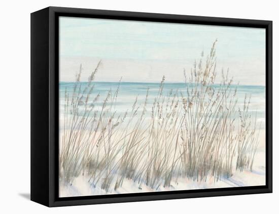 Beach Grass II-Tim OToole-Framed Stretched Canvas