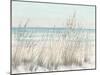 Beach Grass II-Tim OToole-Mounted Art Print