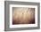 Beach Grass Waving in the Wind, Fire Island, New York, USA-Julien McRoberts-Framed Photographic Print