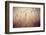 Beach Grass Waving in the Wind, Fire Island, New York, USA-Julien McRoberts-Framed Photographic Print