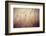 Beach Grass Waving in the Wind, Fire Island, New York, USA-Julien McRoberts-Framed Photographic Print