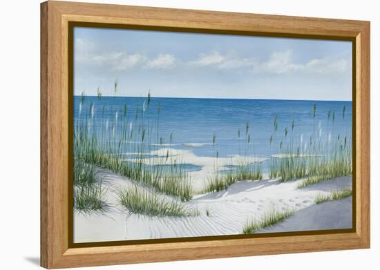 Beach Grass-Max Maxx-Framed Stretched Canvas