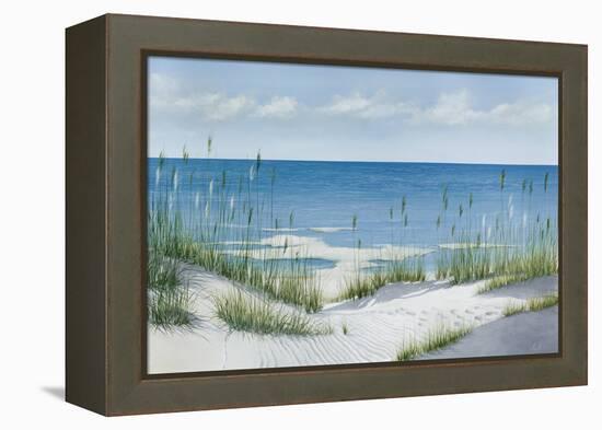 Beach Grass-Max Maxx-Framed Stretched Canvas